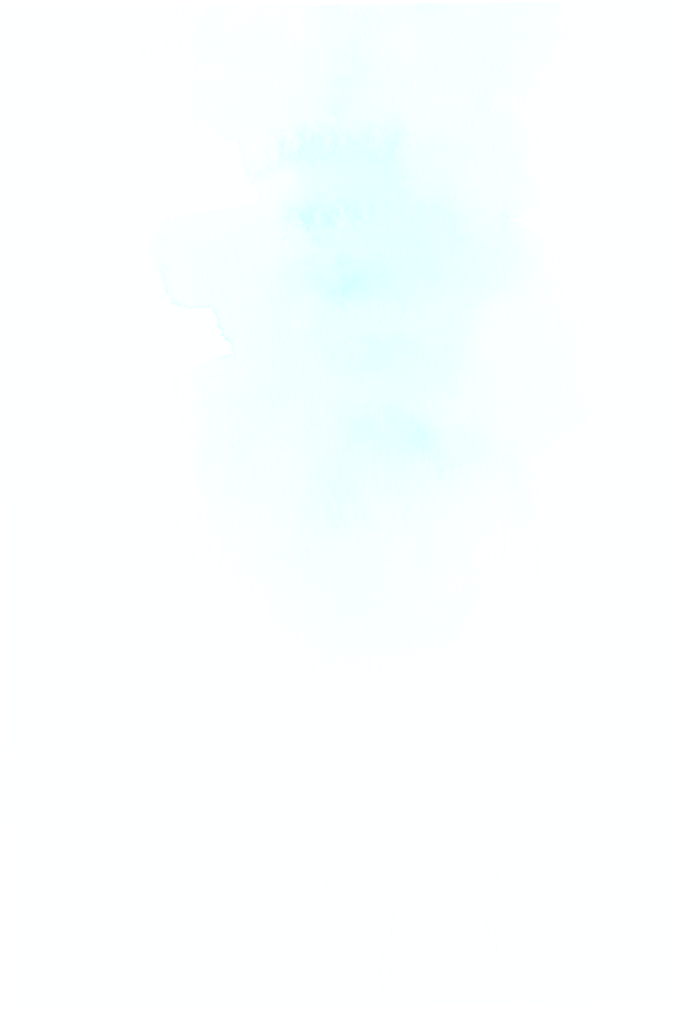 object